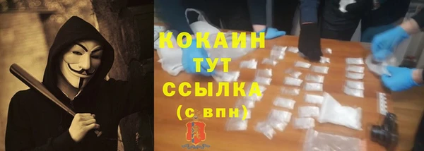 ГАЛЛЮЦИНОГЕННЫЕ ГРИБЫ Осташков