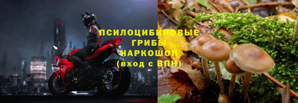 jwh Валдай