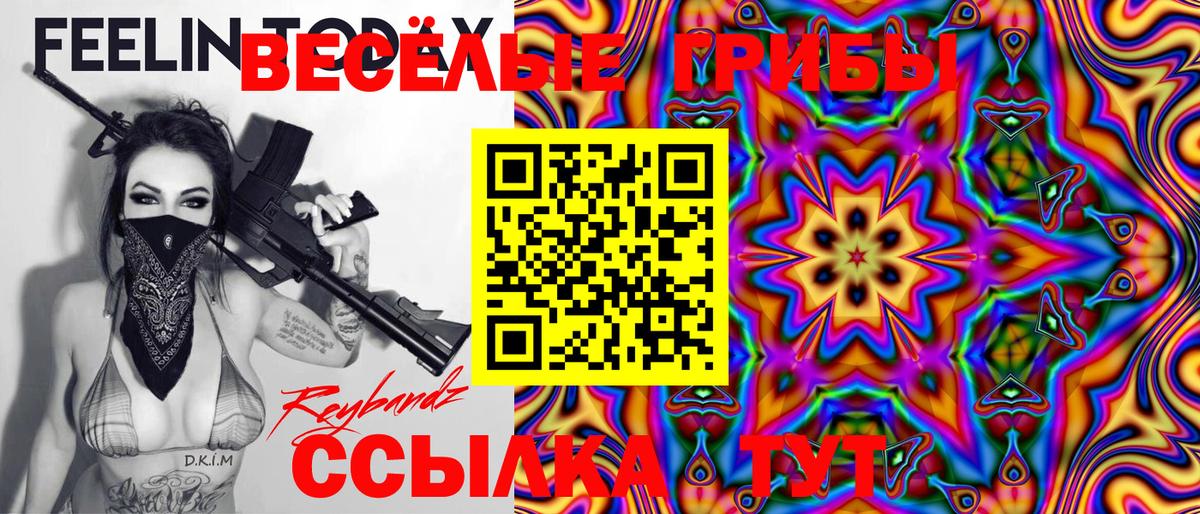 Галлюциногенные грибы Psilocybine cubensis Аргун