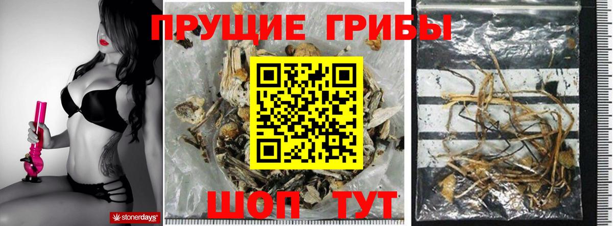 Галлюциногенные грибы мицелий  Аргун 